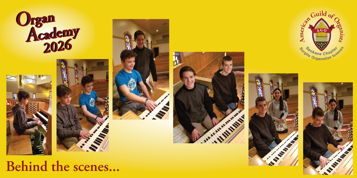 Organ Academy 2026 BTS 2