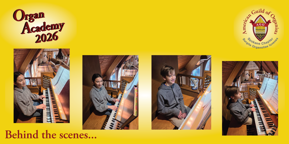 Organ Academy 2026 BTS 4