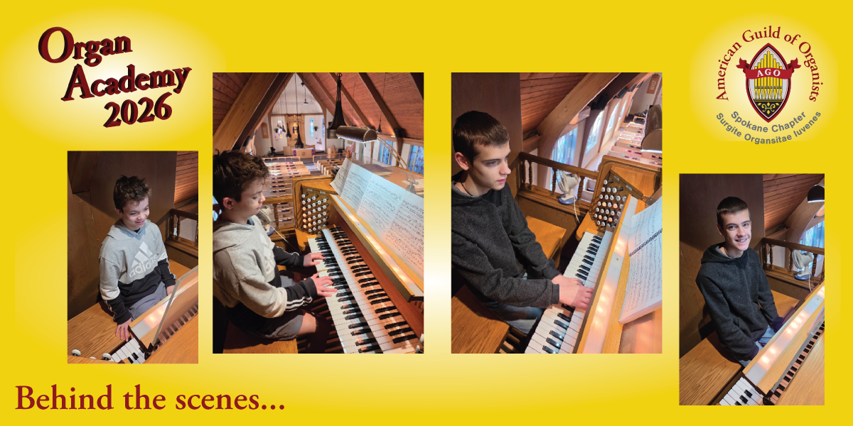 Organ Academy 2026 BTS 5