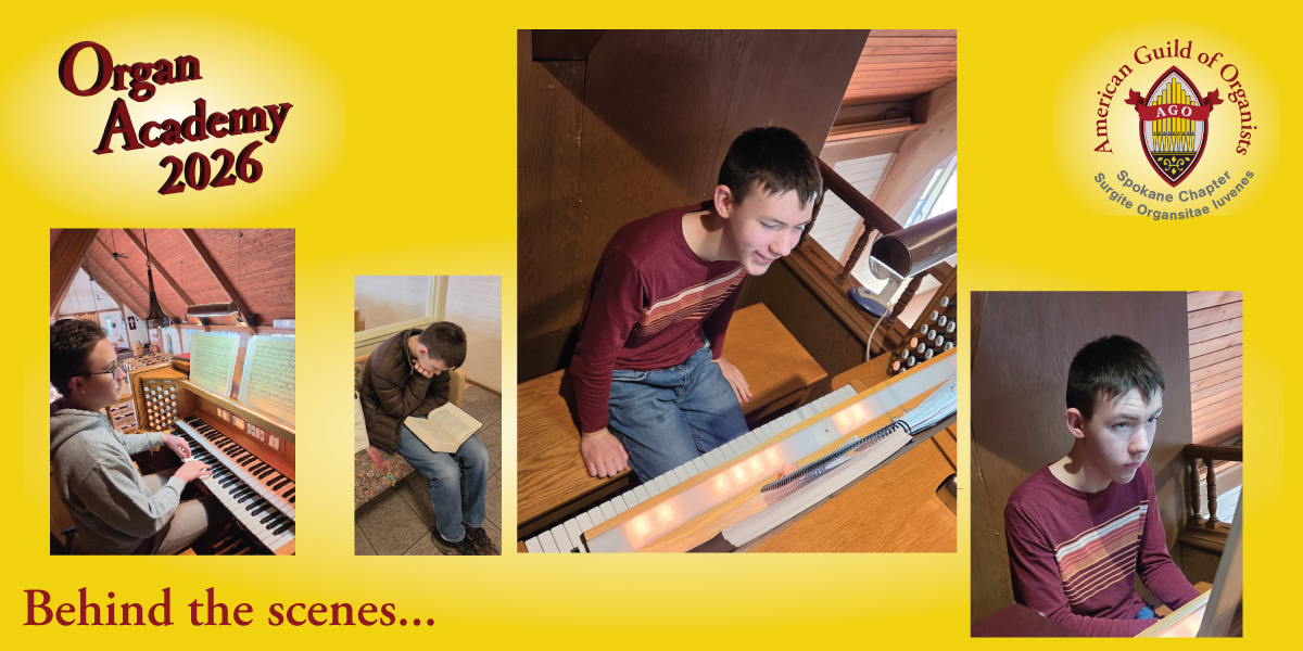 Organ Academy 2026 BTS 7